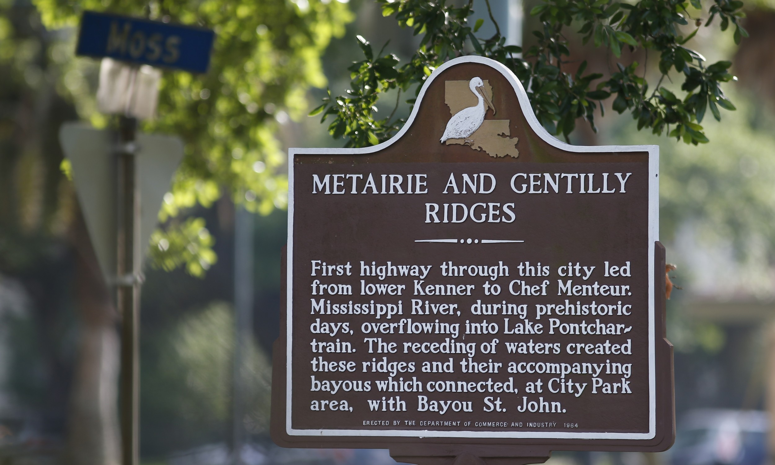 The Ridges at Bayou St. John & City Park